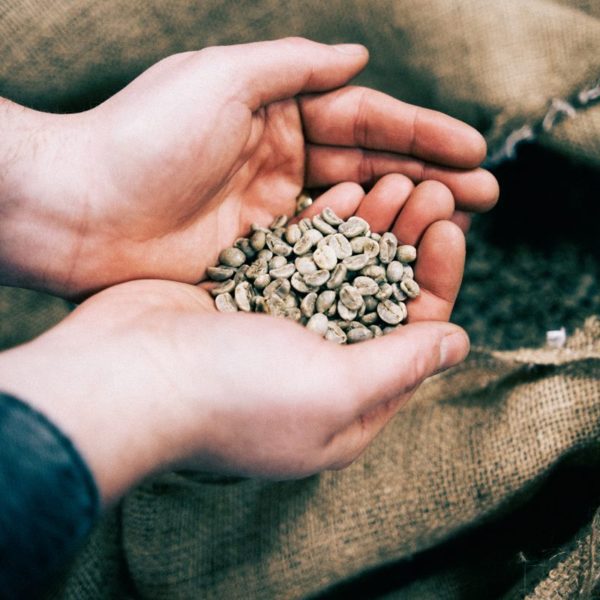 speciality green beans