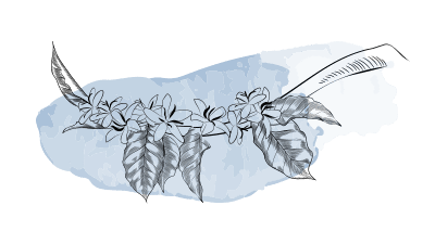 florish-1 coffee gift voucher