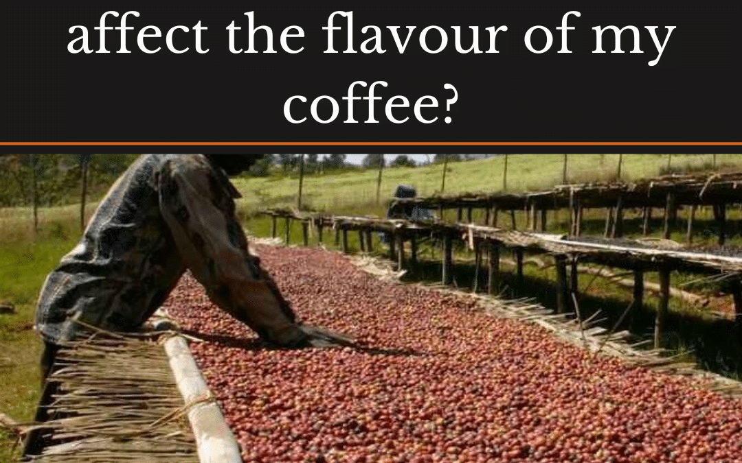 How Does Coffee Processing Affect the Flavour of My Coffee?