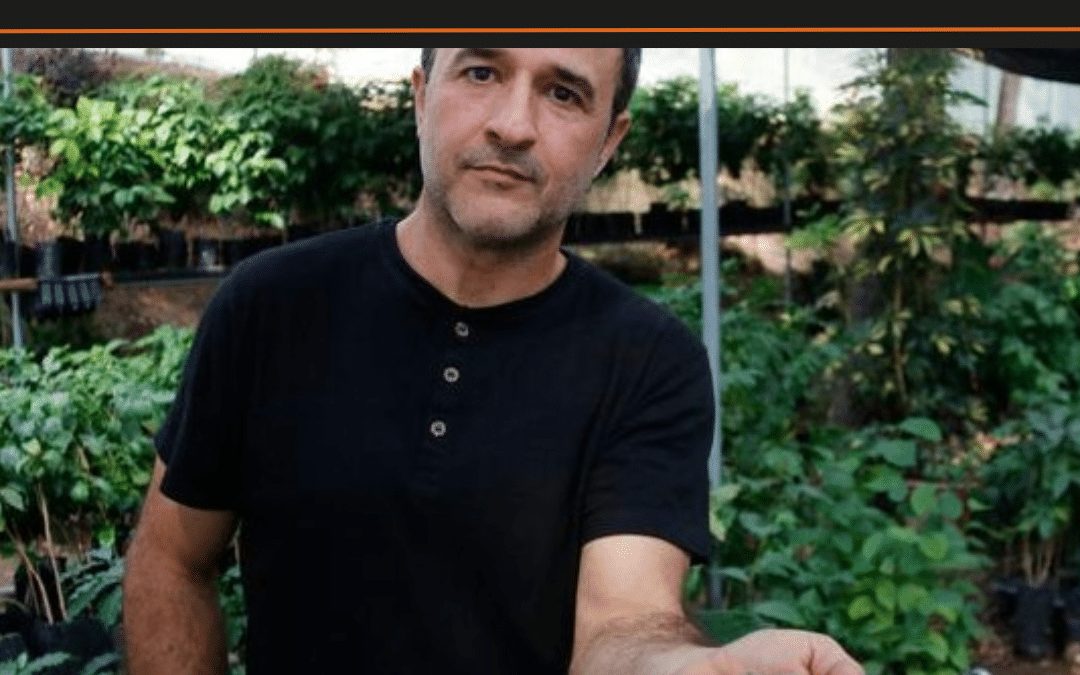 Coffee Grown in Europe?! The Lowdown on Catalonia’s Pioneering Continental‑Climate Coffee